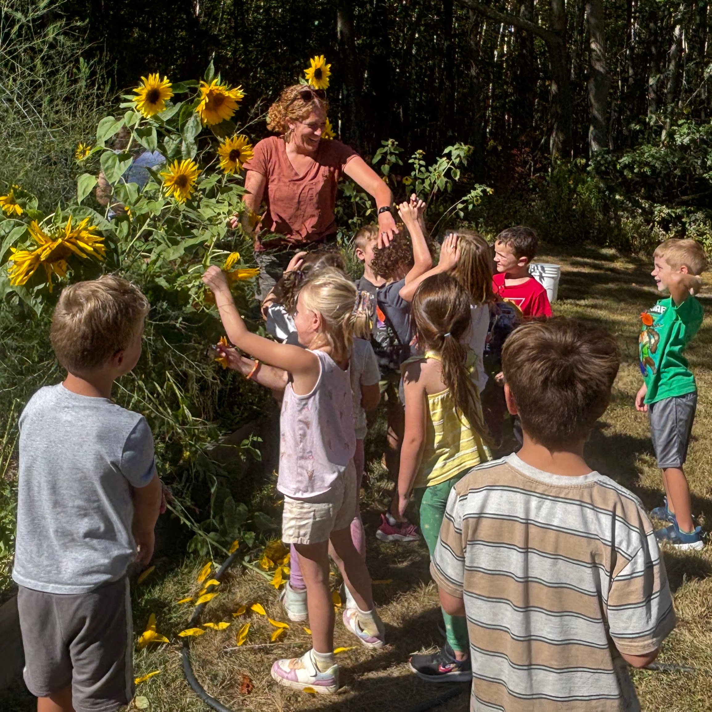 children with sunflowers